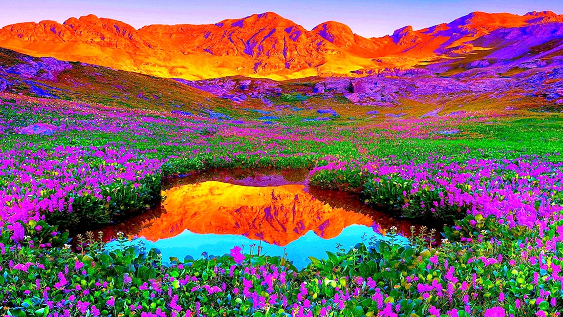 Индийский парк «Долина цветов»