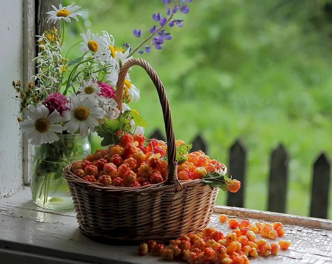 Лето ягоды цветы