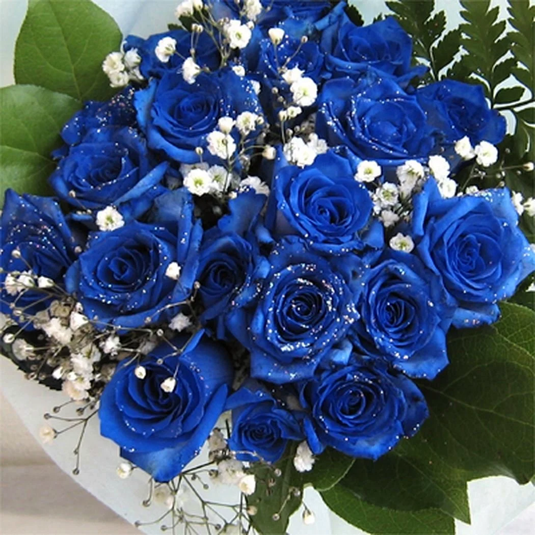 Синие розы с гипсофилой