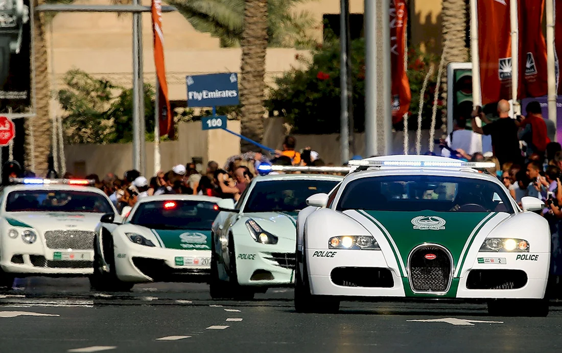 Автопарк полиции Дубая