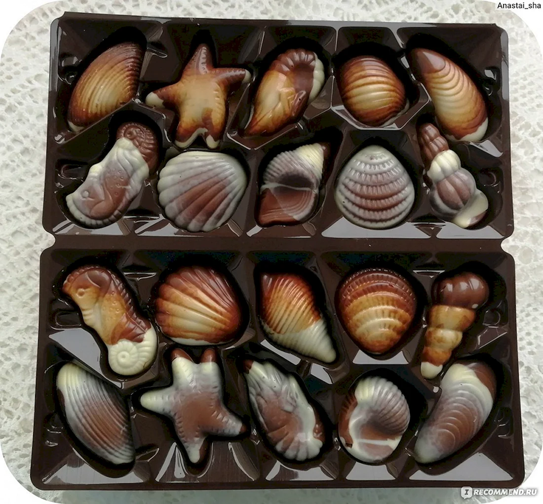 Бельгийский шоколад ракушки Ameri