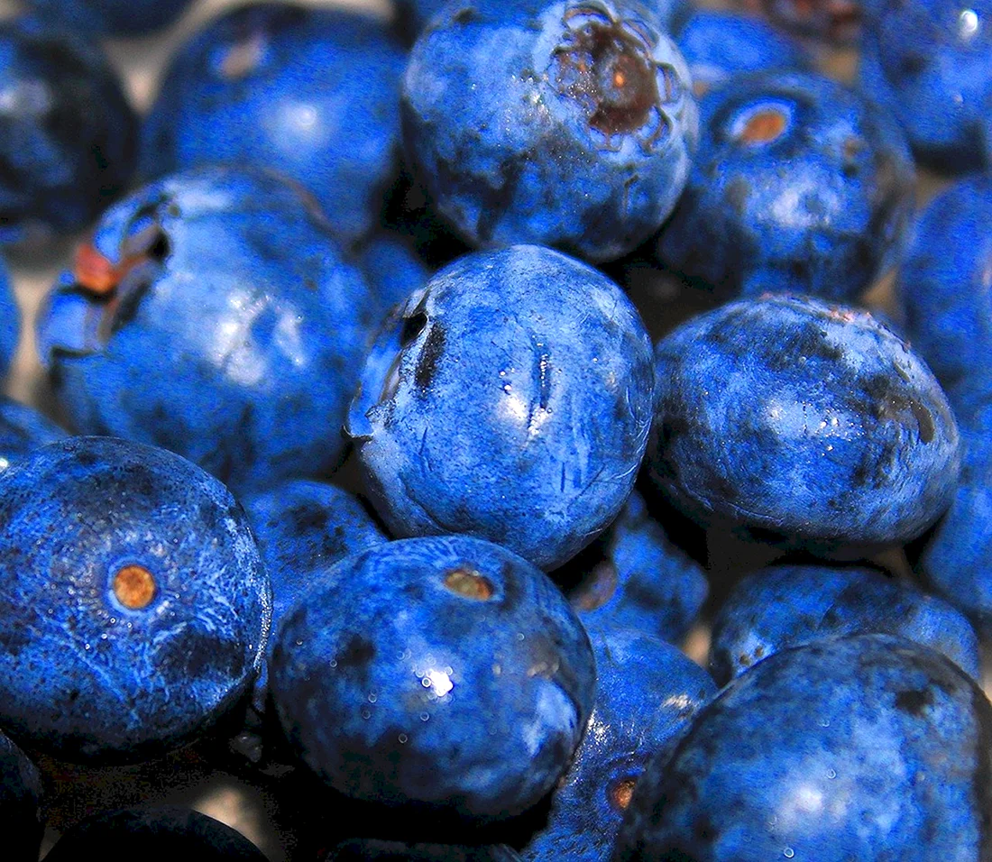 Blueberry0110