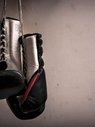 Боксерские перчатки Майкл Джордан