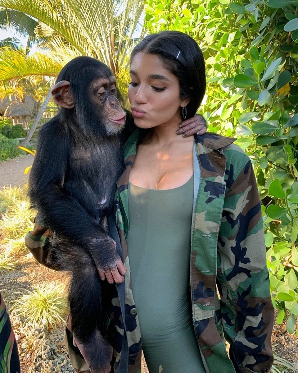Девушка и шимпанзе