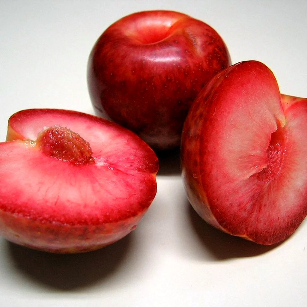 Гибрид слива персик абрикос шарафуга