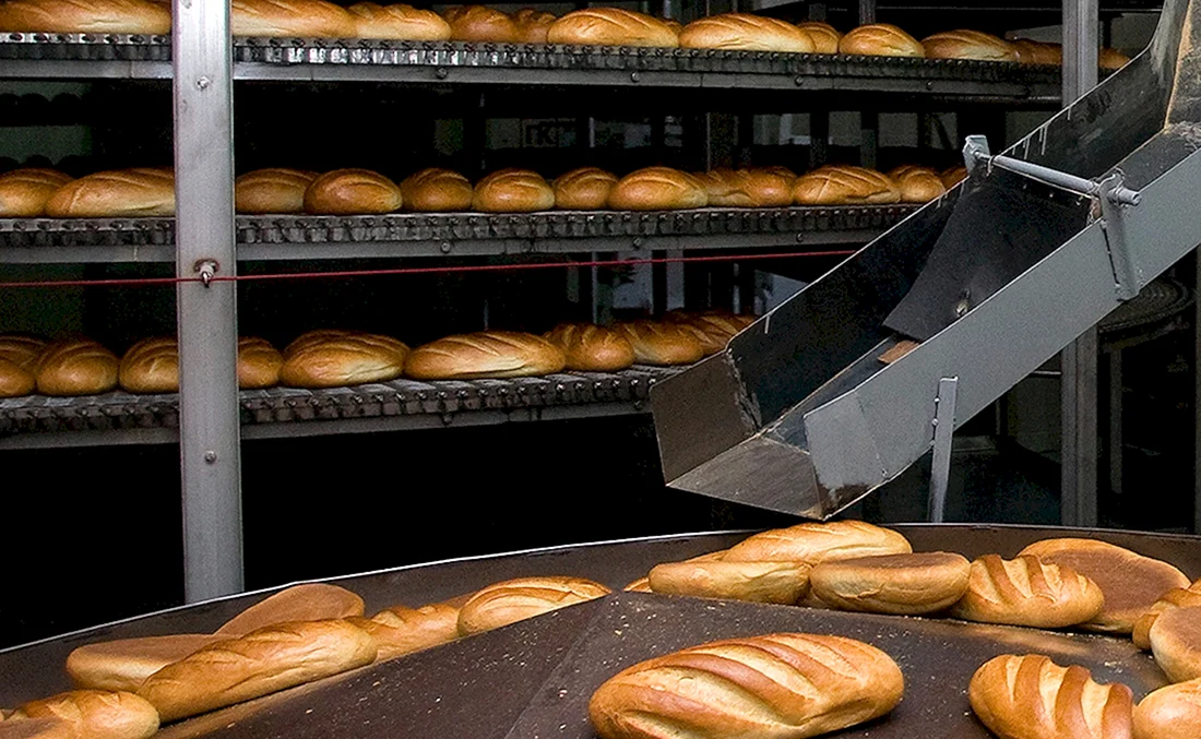 Хлебозавод пекарня