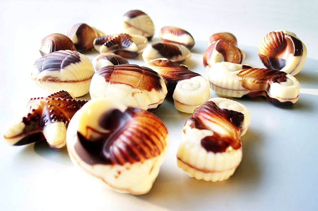 Конфеты Belgian ракушки Chocolates морские