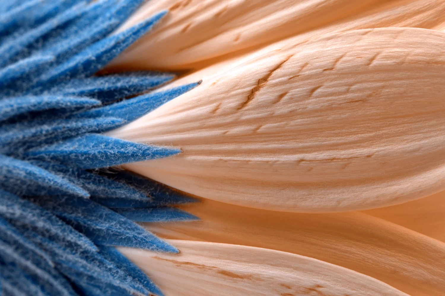 Красивая фактура природных материалов кремово голубая