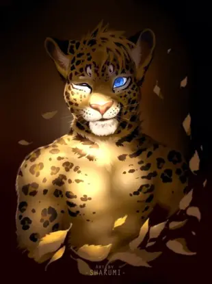 Лео Лео леопард