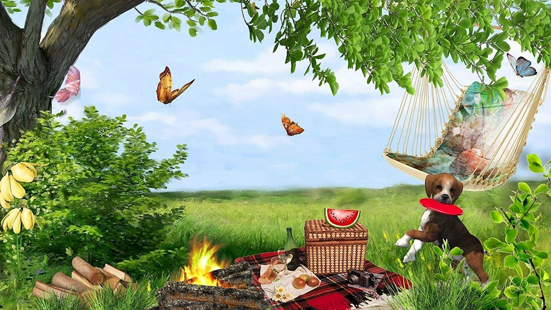 Летний пикник на природе
