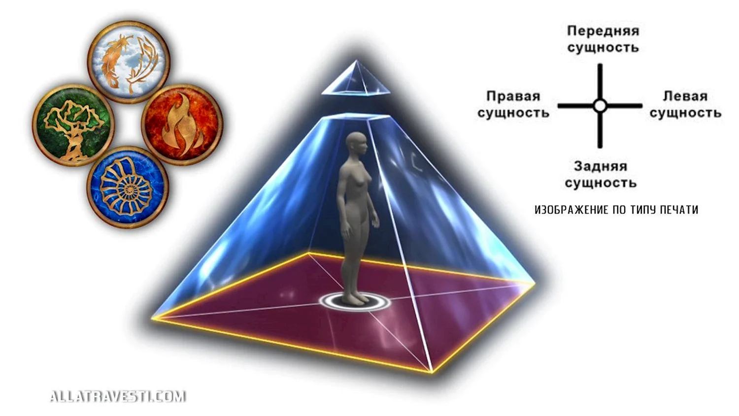 Пирамидальная структура человека