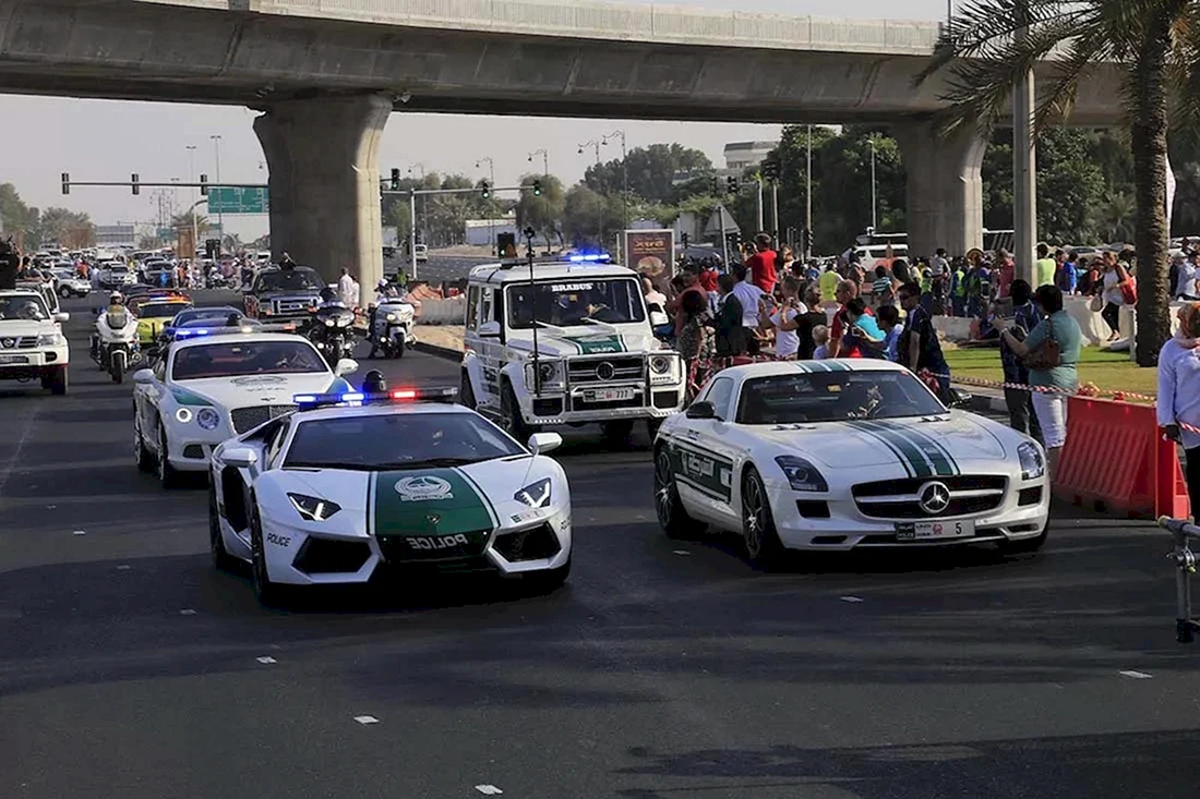 Полиция Дубая машины