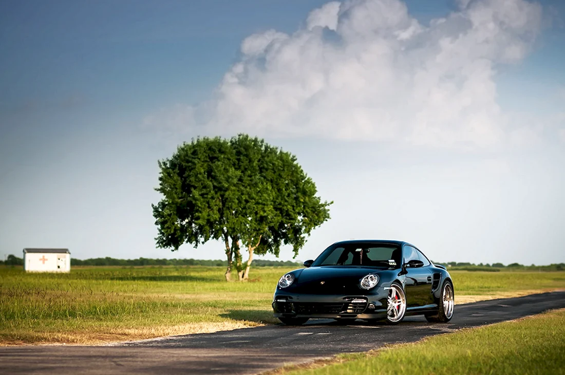 Porsche 911 Turbo Wallpaper