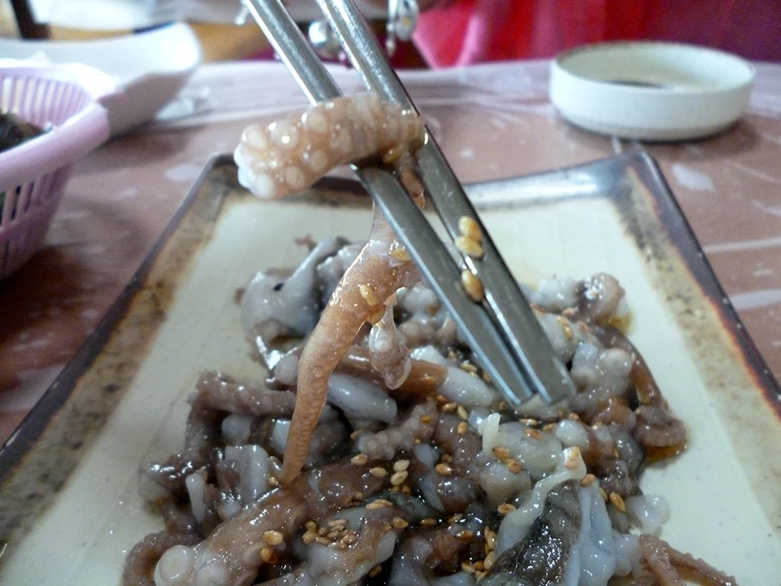 Саннакчи живой осьминог Корея