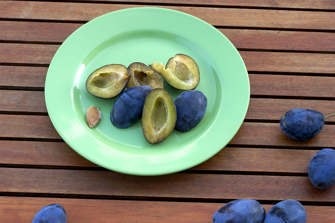 Синяя еда в природе