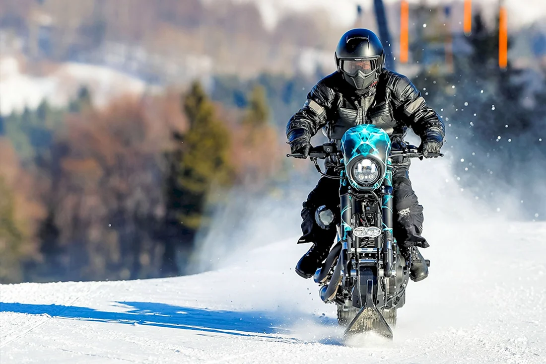 Снегоход Harley Davidson
