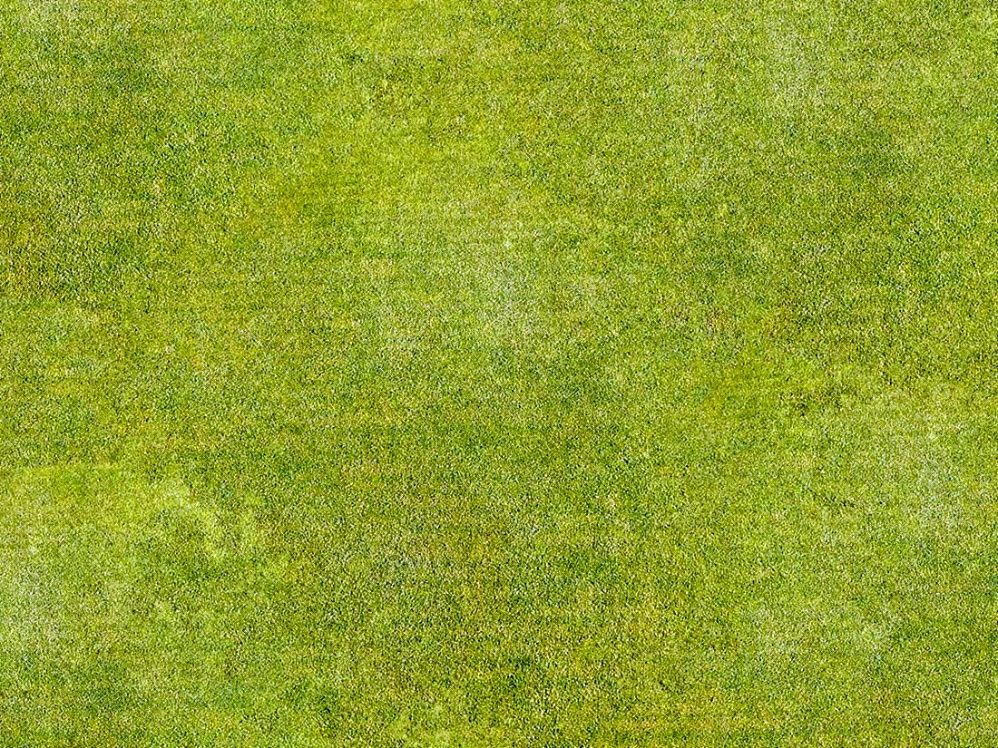 Текстура травы бесшовная генплан