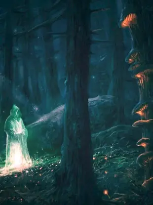 Волшебник в лесу