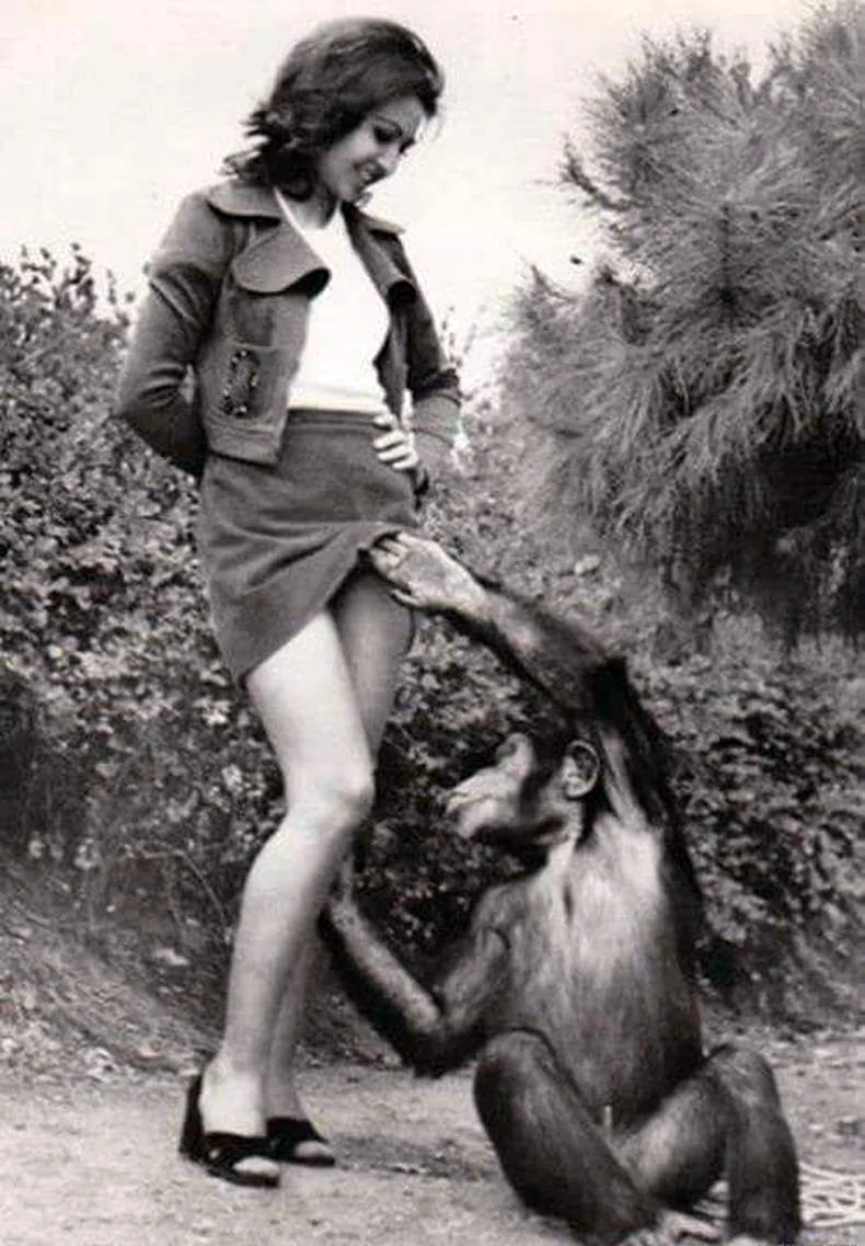 Женщина обезьяна