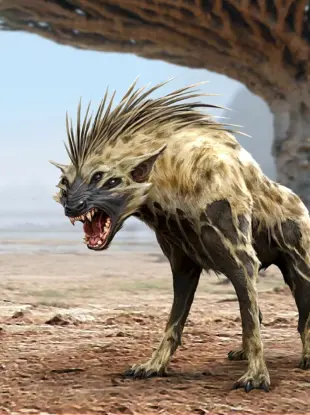 Жеводанский зверь гиена