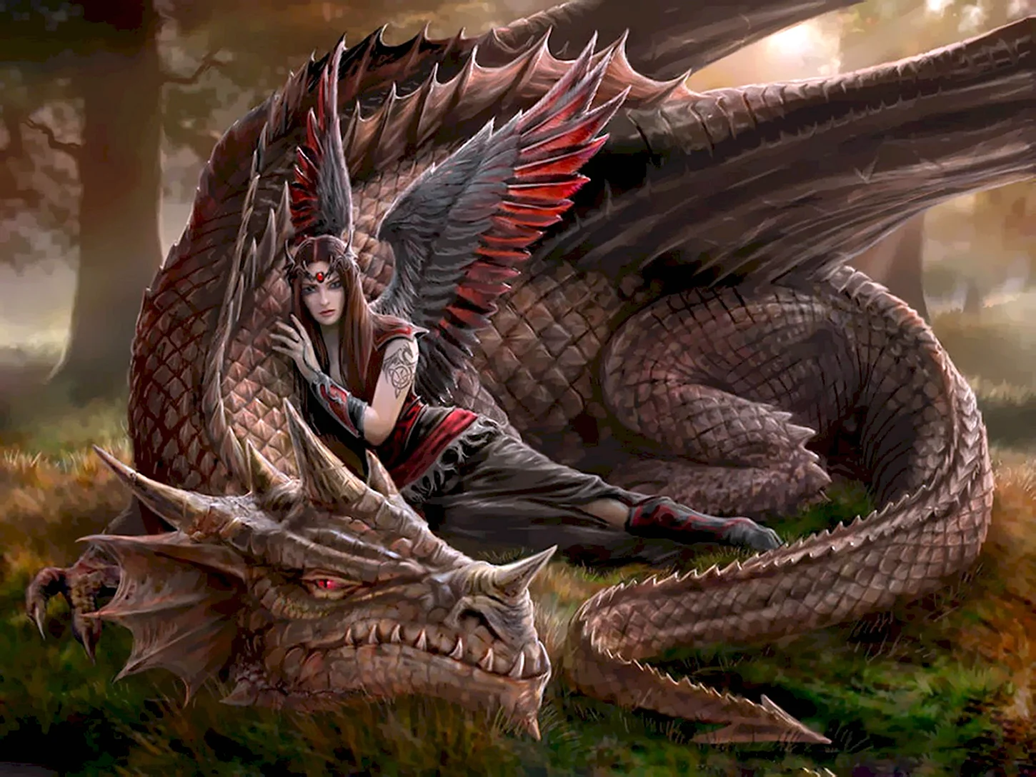 Анне Стокес драконы