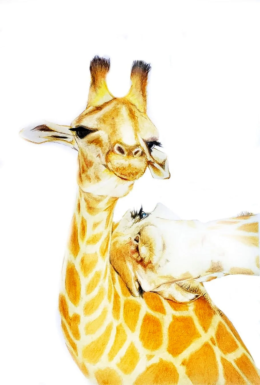 Иллюстрации с жирафиками