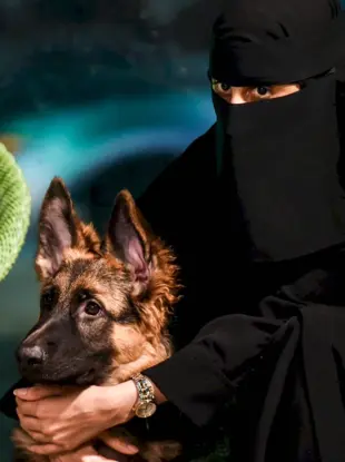 Собаки в Саудовской Аравии
