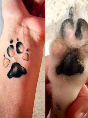 Татуировка собачья лапка