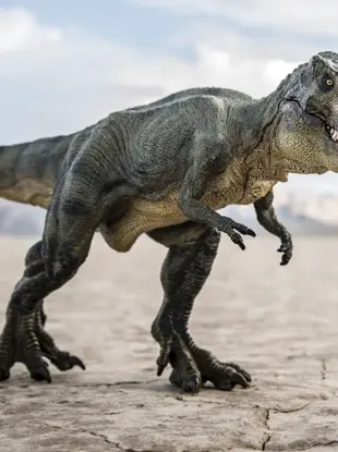 Теренозавр рекс