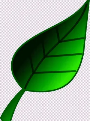 Зеленый листик